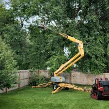 Lawn Grading and Leveling in Quartz Hill, CA